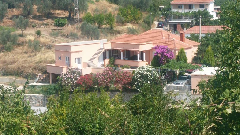 Guest'S House "Lindi&Roni" Ulcinj Quarto foto